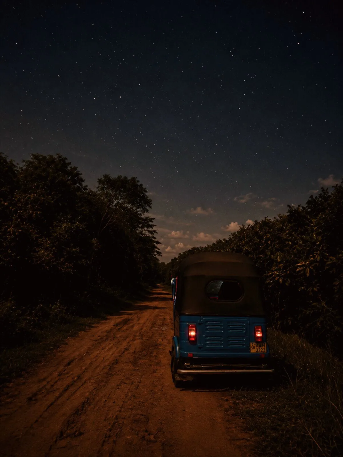 Tuk-tuk parked in the forest beneath a sky full of stars